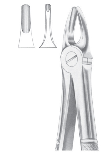 Fig. 3 Upper Incisors & Canines
